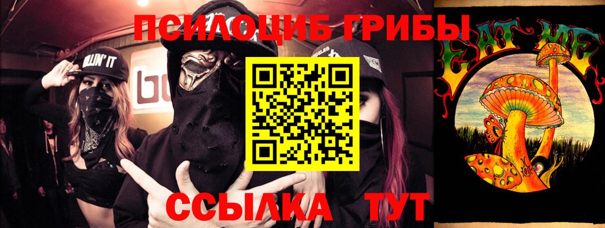 Псилоцибиновые грибы ЛСД  Вход с VPN  Заинск 